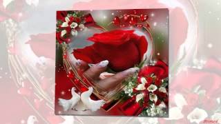 Rote rosen -Die Flippers