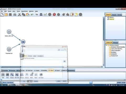 SPSS Modeler Tutorial 1 - Part2
