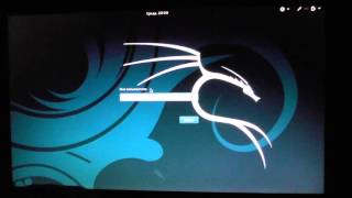 Kali Linux – обзор и установка