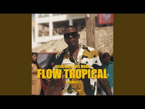 Flow Tropical (feat. Luis Moka)