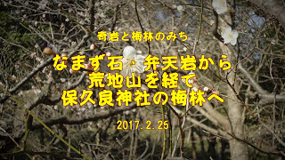 2017.2.25 奇岩と梅林のみち:なまず石・弁天岩から荒地山を経て保久良神社へ