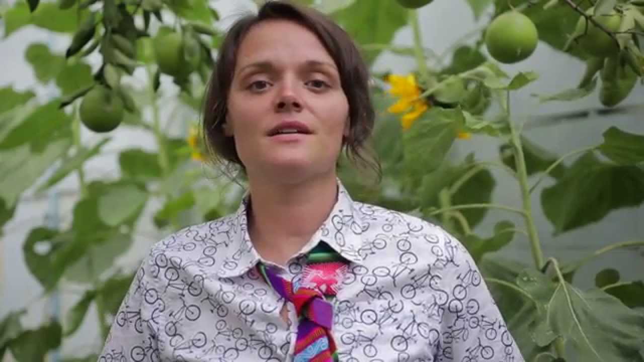 How is living at an NGO? Video testimony from Sustainable Bolivia