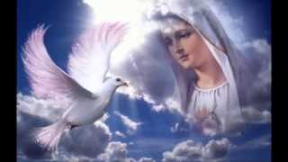 The Tenors - Ave Maria (kompozytor Giulio Caccini)