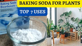 Baking Soda in Gardening- TOP 7 uses