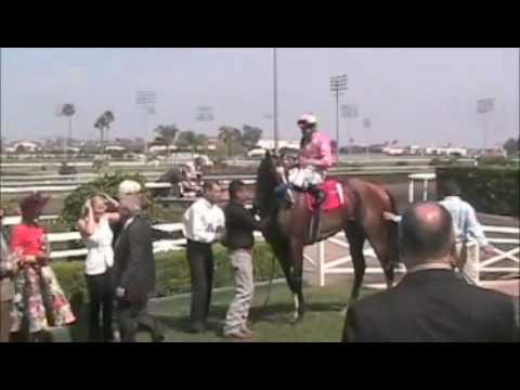 2010 Hollywood Gold Cup Day