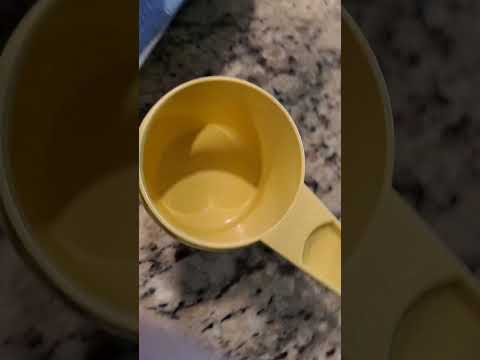 2/3 of a cup of ice cream!!!!  Really?!