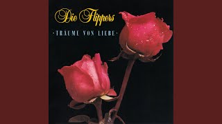 Hab ich dich verloren