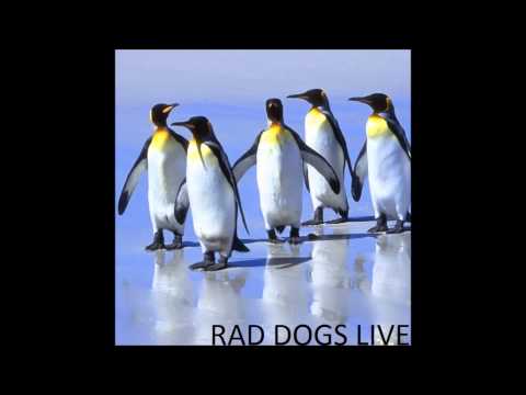 Rad Dogs - What I've Got, You Want (Live @ Pingouin Café)