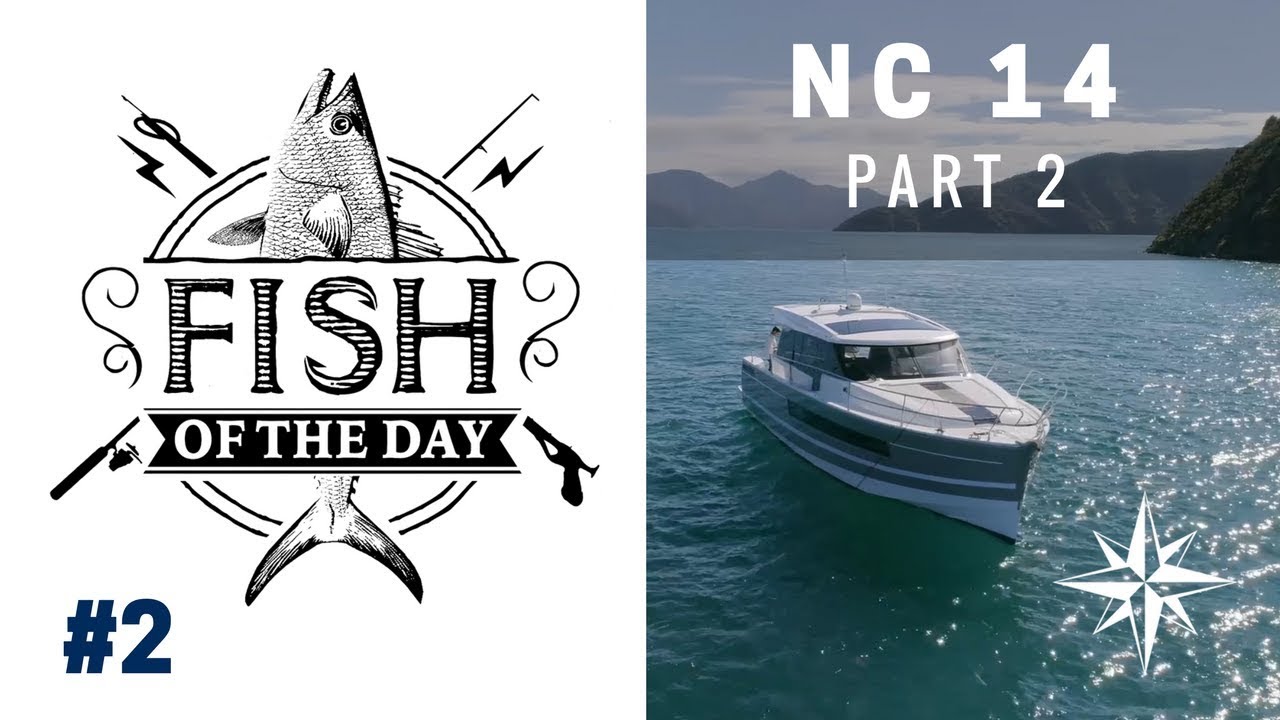 На борту NC 14 в рамках серии Fish of the Day (ч.2)