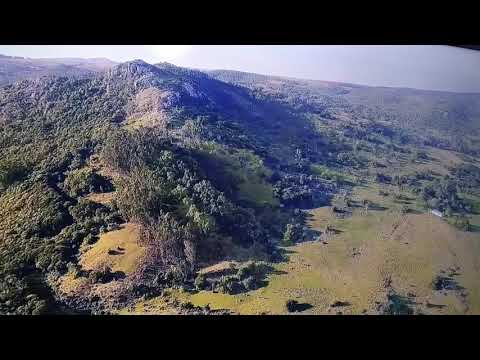 Poesía Querida Barriga Negra. Sergio Errazquin