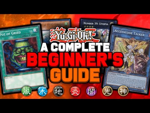 A Complete Beginner's Guide to the Yu-Gi-Oh! Trading Card Game (TCG)