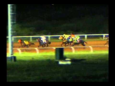 11ra. Carrera Miercoles 23 de Octubre de 2013 SANTA RITA