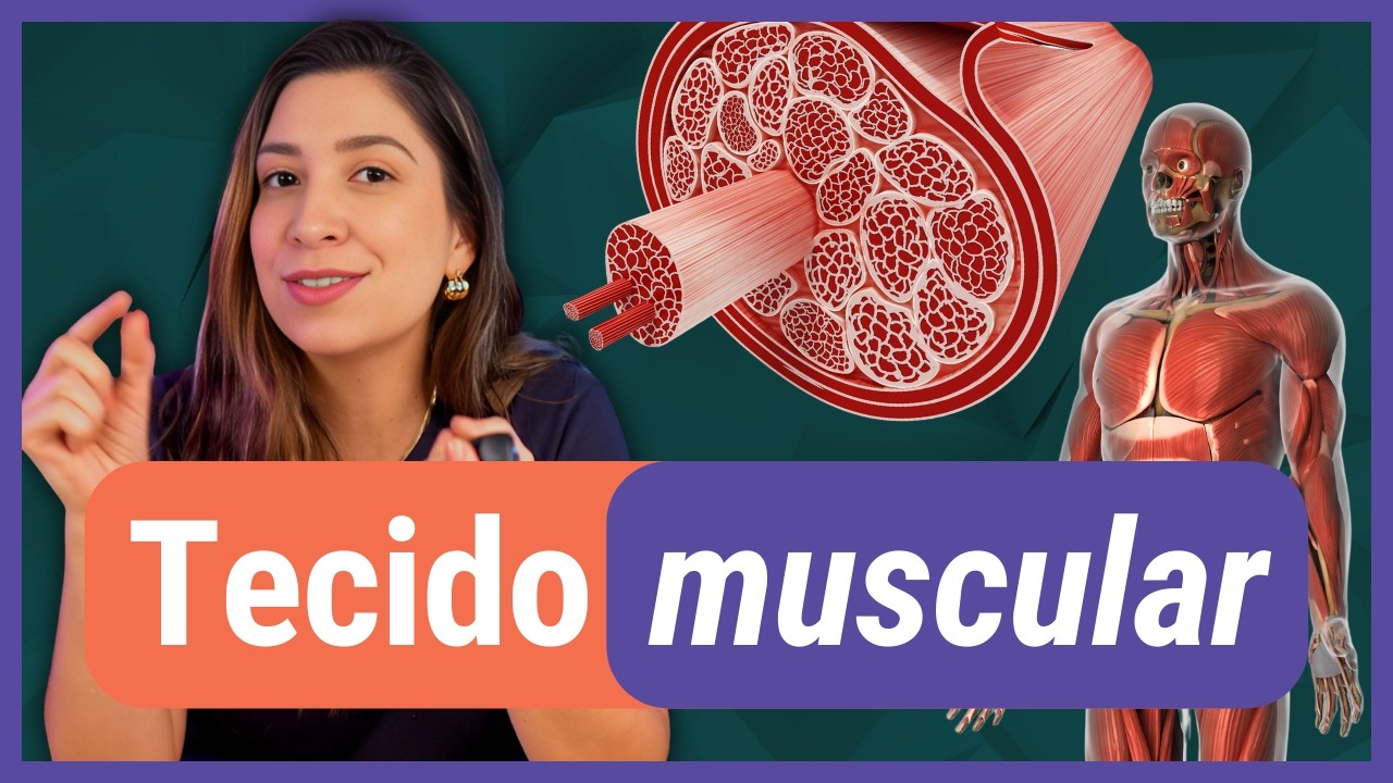 TECIDO MUSCULAR | Histologia