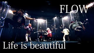 Life is beautiful Music Video