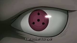 Naruto: Ninja World Story