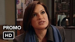 promo SVU 15x14