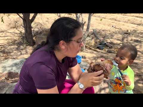 Today we went out to lunch