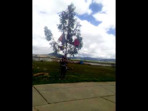 Carnaval cupisqueña 2018