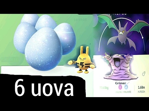 CATTURO CROBAT E SCHIUDO 6 UOVA DA 2 KM: POKEMON GO ITA
