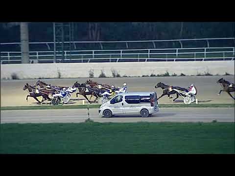 Napoli Trotto 30/12/2022 - 8ª corsa