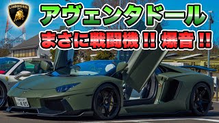 【インタビュー】元フェラーリ乗りがアヴェンタドールに乗り換えて感じたことを聞いてみた【someLIfe TV】