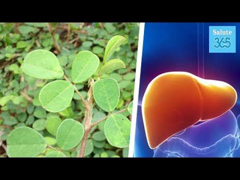 Come smettere di bere ormoni da una ghiandola tiroidea I farmaci si sono rivolti allatto della codificazione da alcolismo