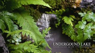 Make Underground CAVE between Land and Waterfall Aquarium l First Time to FEED the terrible food