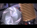 C30U Zahnrad Wmv