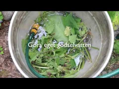 Göra eget gödselvatten