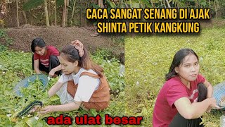 Download lagu SHINTA AJAK CACA PETIK KANGKUNG mp3