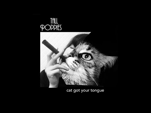 Cat Got Your Tongue? official music video by indie pop quartet Tall Poppies