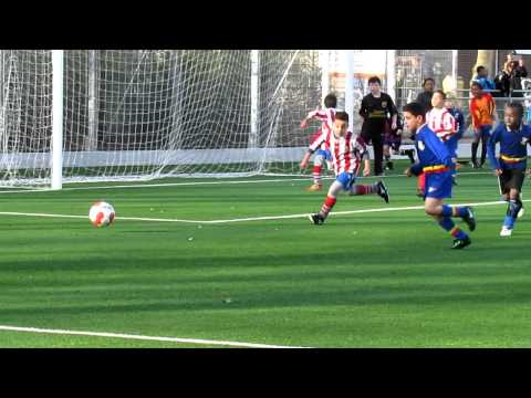 Haagse Hout F2 - Quick Steps F3