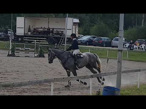 Cornets Pride 2015 e Cornet Obolensky-Cassini I-Caretino.