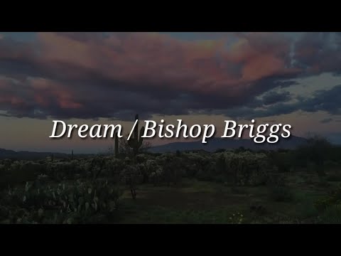 download lagu mp3 mp4 Dream Bishop Briggs Lyrics, download lagu Dream Bishop Briggs Lyrics gratis, unduh video klip Dream Bishop Briggs Lyrics