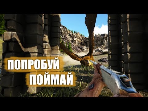 Ловец Грифонов - ARK Ragnarok # 10