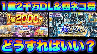 1億2000万DL記念＆極ネコ祭ガチャきたからどうすればいいのかを解説！　#にゃんこ大戦争　【オレンジチャンネル】