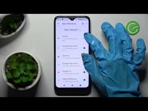 How to Turn On App Notifications on TCL 205?