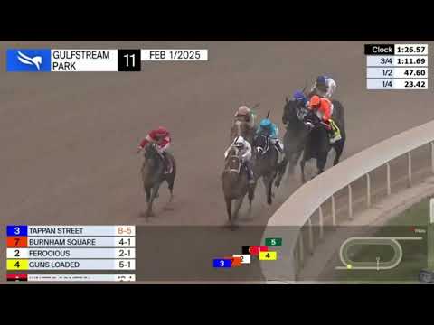 Burnham Square Wins The Holy Bull Stakes (G3) - 2025 Derby Prep - Gulfstream Park - 2/1/25