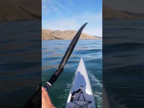 Glass surf ski runs
