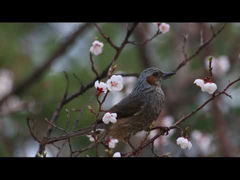 Jonathan Roy, Deepend - Freeze Time