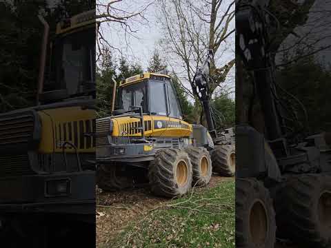 Der Prozessor macht kurzen Prozess!🤣💪