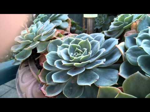 Wiko Highway signs camera test