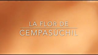 LA FLOR DE CEMPASÚCHIL | (Parodia Monsterball Go) | LosColegas!