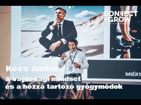 Koza Andor: A vajdasági mindset és a hozzá tartozó gyógymódok