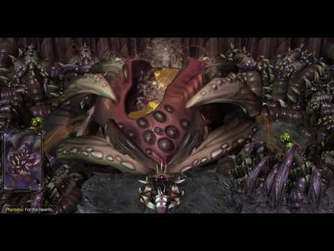 StarCraft 2: Time Convergence - The Last Evolution (Cinematic)