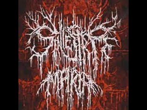 SINIESTRA MARIA -INTERFERENCIA