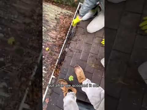 $200 in 30 min cleaning gutters ✅ #guttercleaning