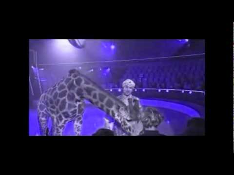 Marco Calliari - Che La Vita