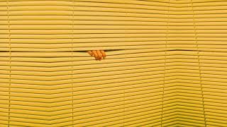 Phangs – Eyes Off You