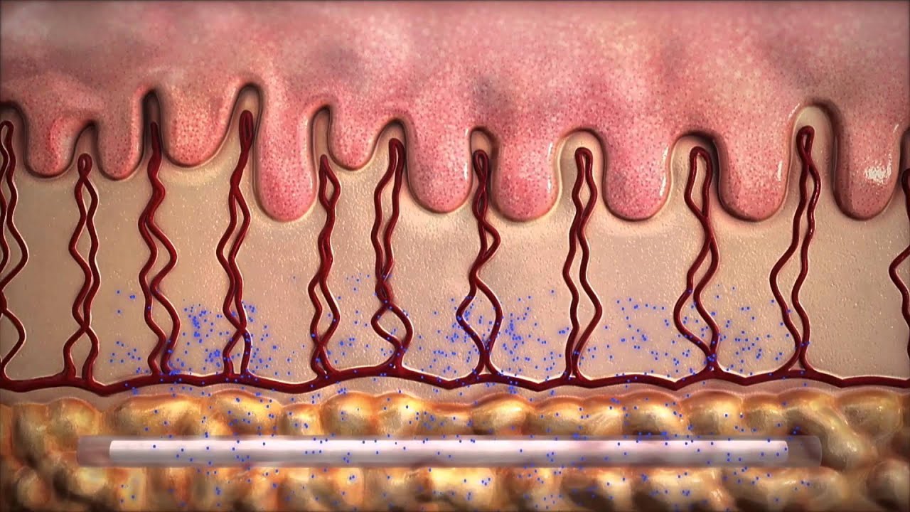 Alan Assis Coutinho-12